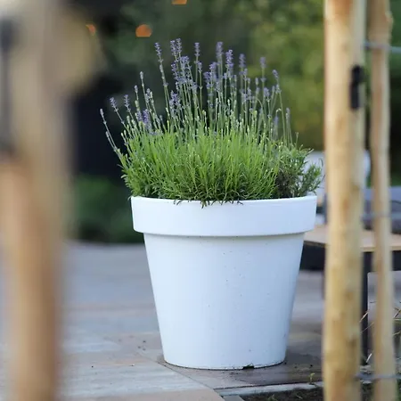 Cool Huisje Aan De Maas 別荘 *